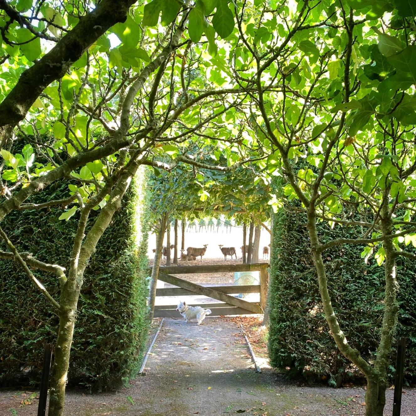 Вілла Stablehouse Garden Shed Мастертон Екстер'єр фото